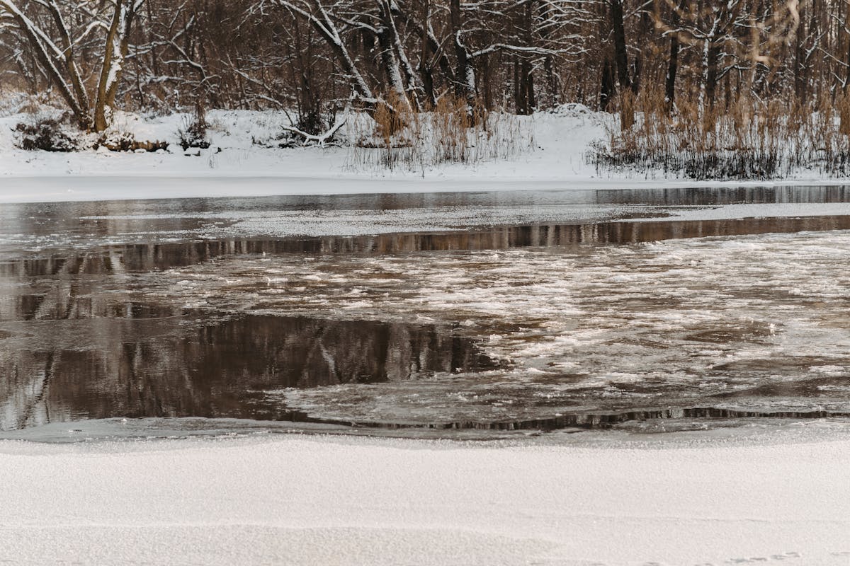 На реках Гродненщины растёт уровень воды и тает лёд