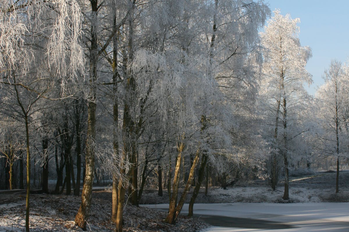 Зима не сдаётся, но весна наступает: о погоде по Гродненской области на  28 февраля – 2 марта