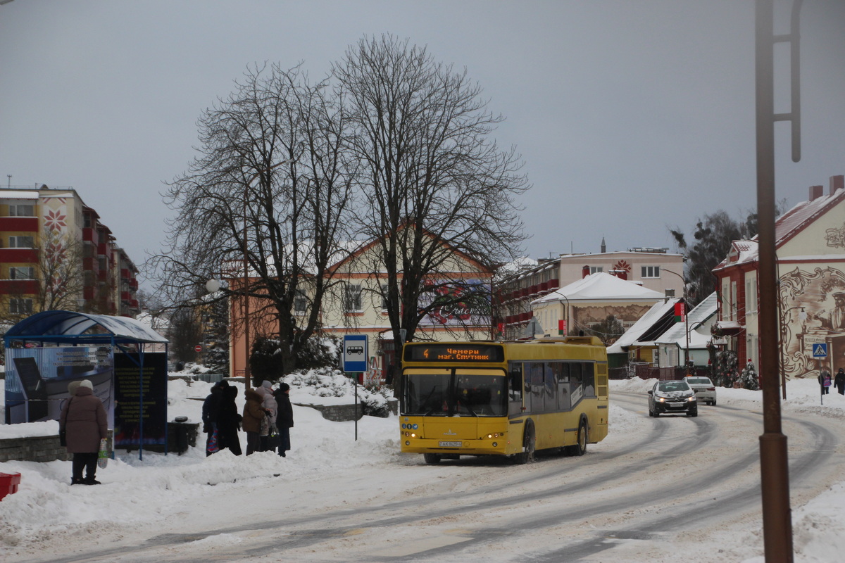 178 проверок провёл Слонимский зональный ЦГЭ. Какие нарушения выявлены?