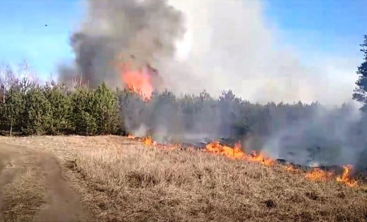 Суд взыскал с жителя Пинского района компенсацию за сожжённые сельхозземли. Сколько пришлось заплатить?