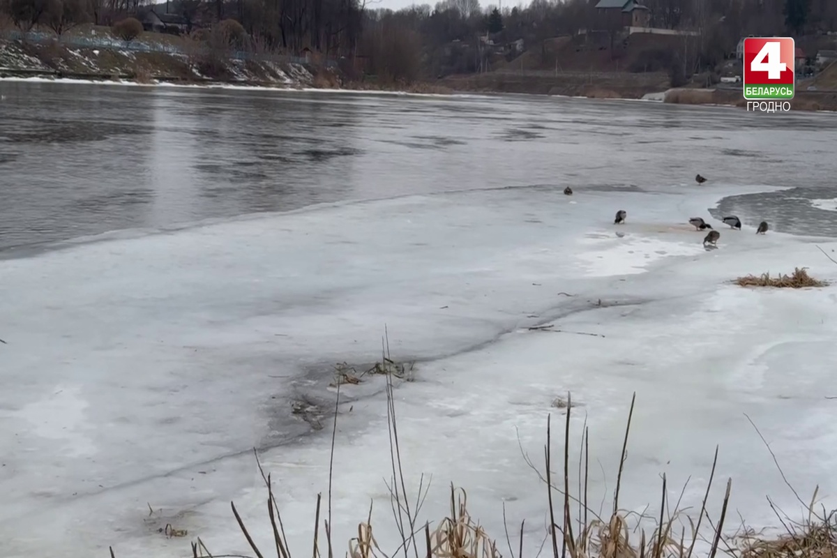 Двое школьников провались под лед во время фотосессии на Немане