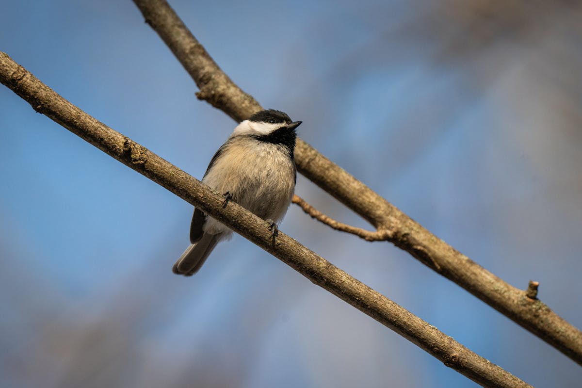 До +12 градусов: о погоде на Гродненщине 5-7 марта 
