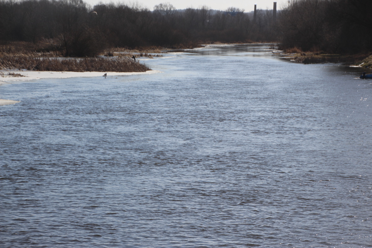 Поднялась ли вода в Щаре: какая сейчас ситуация на реке в Слониме