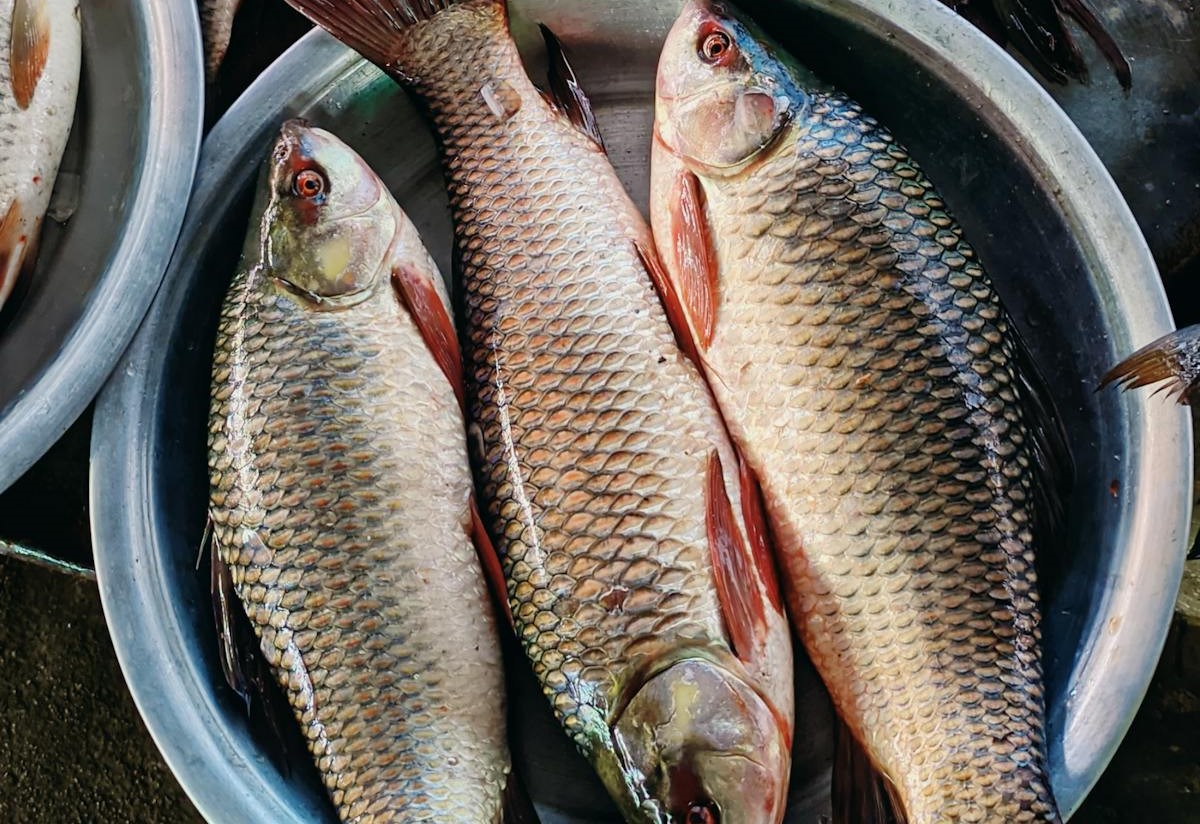 Чтобы свежая рыба не выскальзывала из рук при разделке – простая хитрость