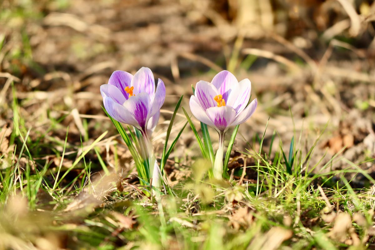 Погода в Гродно и области 9–11 марта: потепление до +16 °C