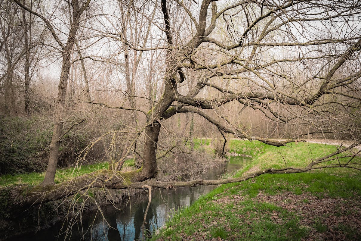 Идет тепло: о погоде в Гродненской области на 11-13 марта
