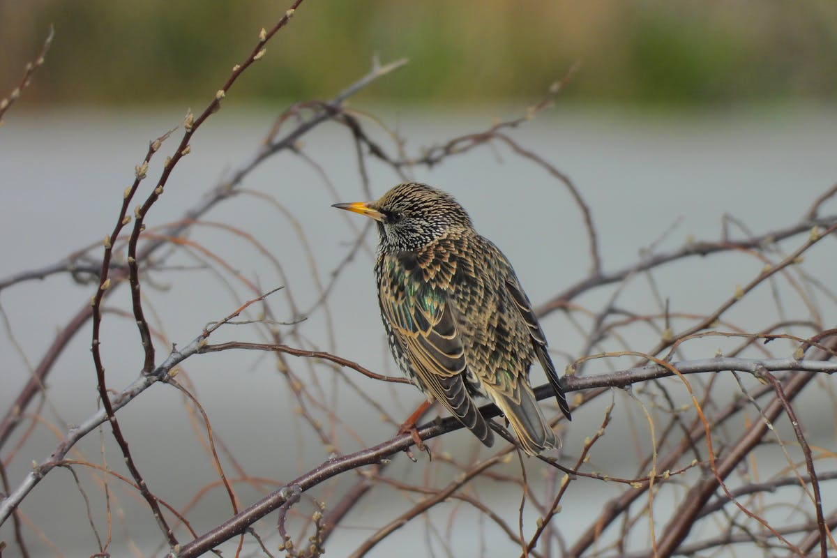 Прогноз погоды по Гродненской области на 16–18 марта