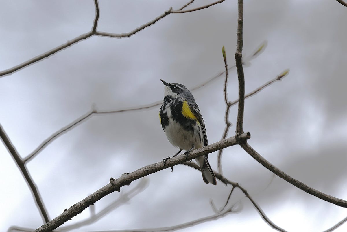 Прогноз погоды в Гродненской области на 17–19 марта