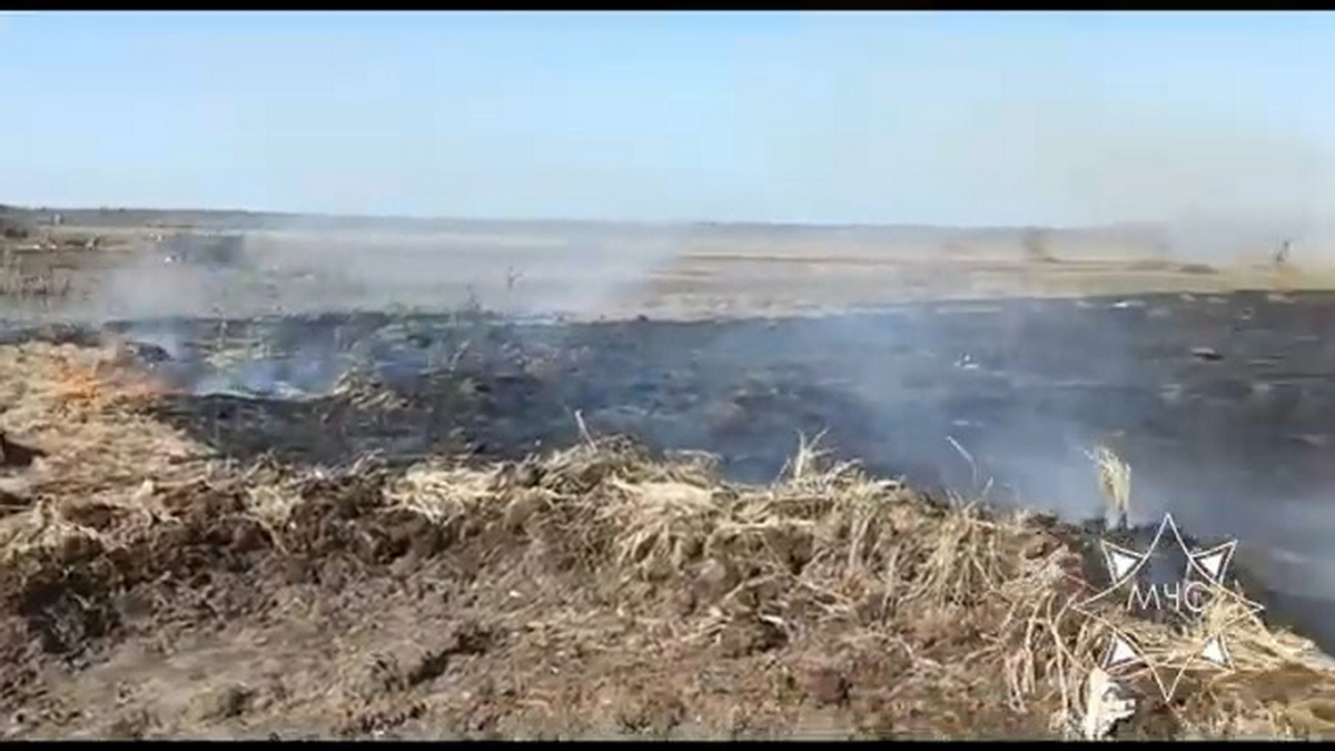 В Слонимском районе произошло первое в этом году возгорание леса