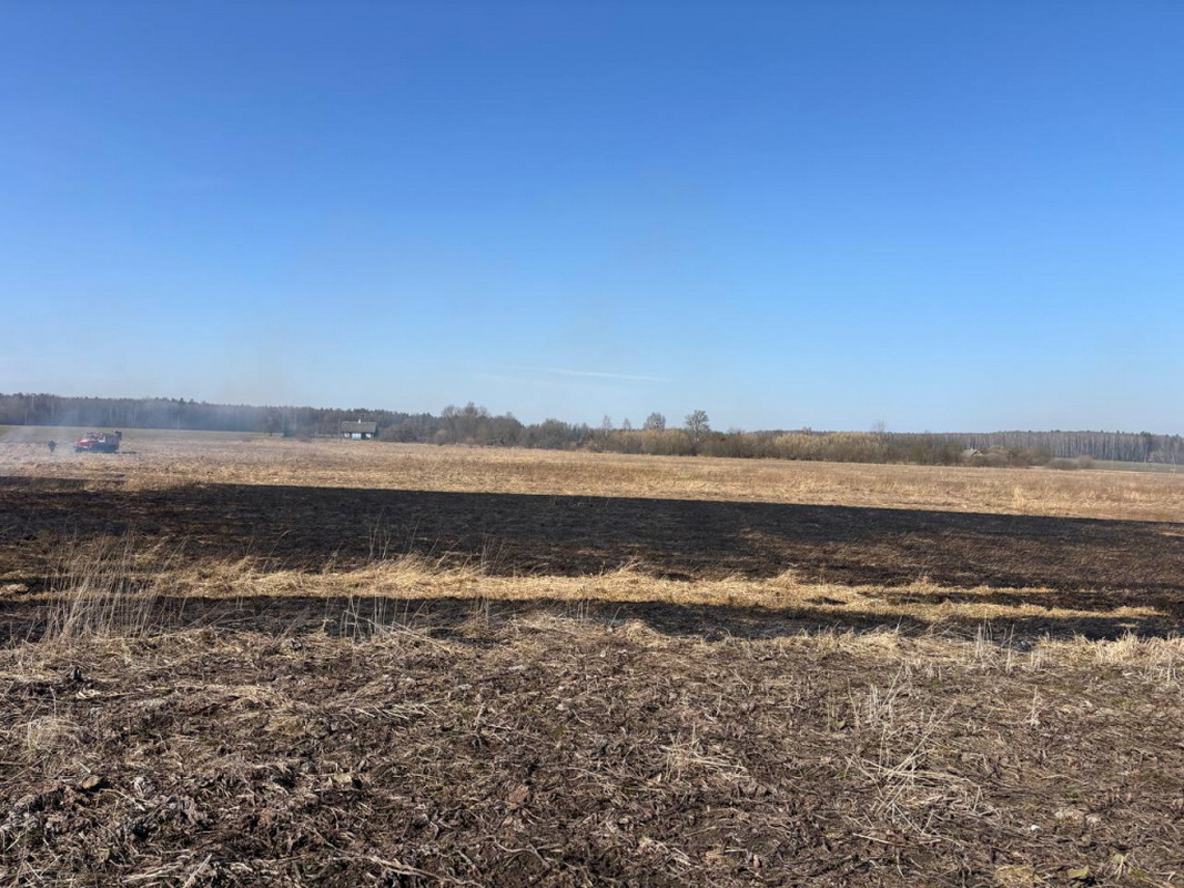 86-летний мужчина погиб при выжигании сухой растительности в Щучинском районе, а в Лиде сгорела хозпостройка