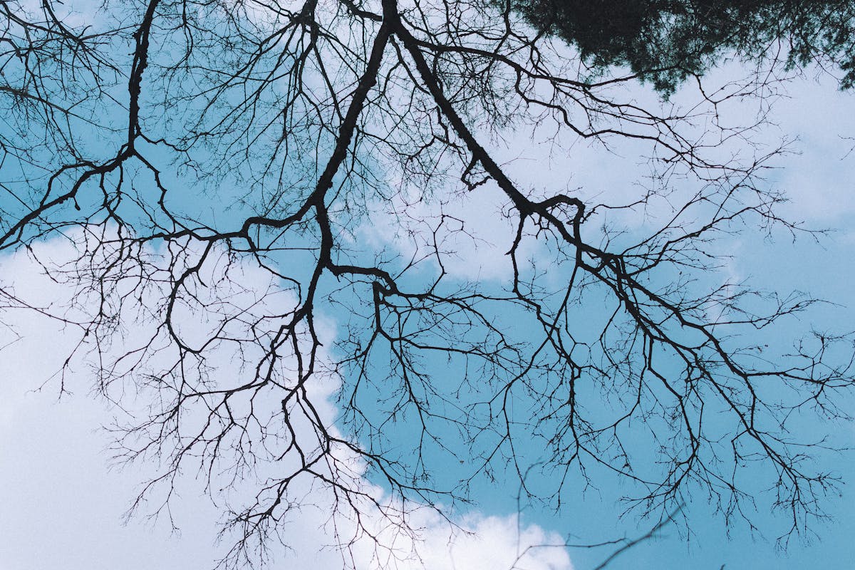 Ночные заморозки усилятся: о погоде на Гродненщине 19-21 марта