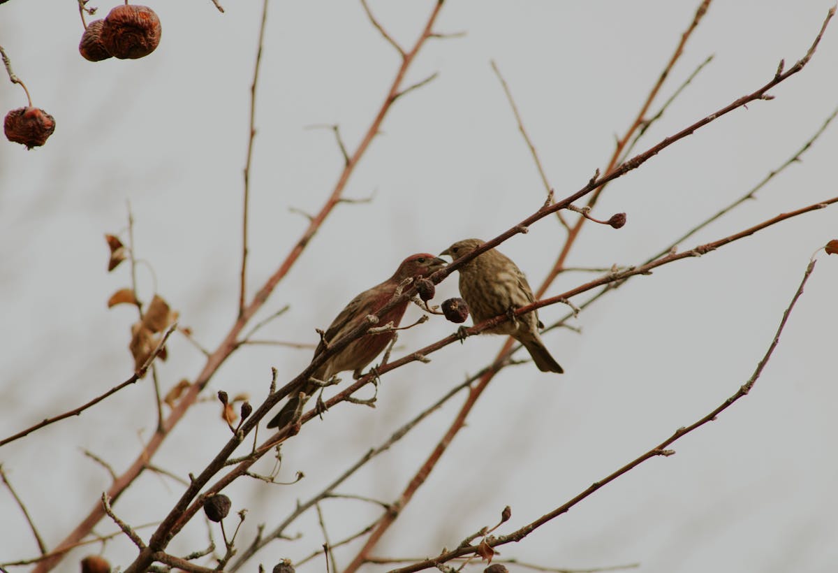 Чего ожидать от погоды жителям Гродненщины 20-22 марта 