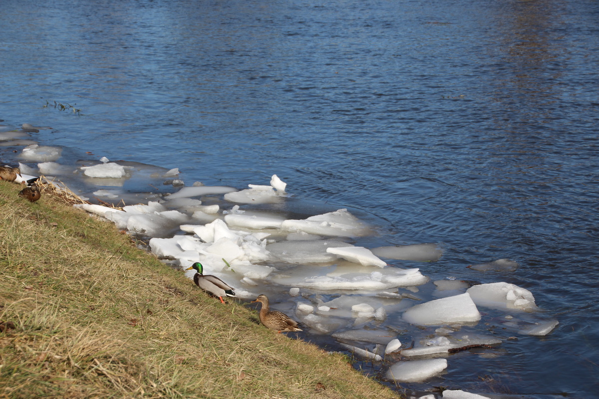 Один запрет 23 марта, который боялись нарушить наши предки