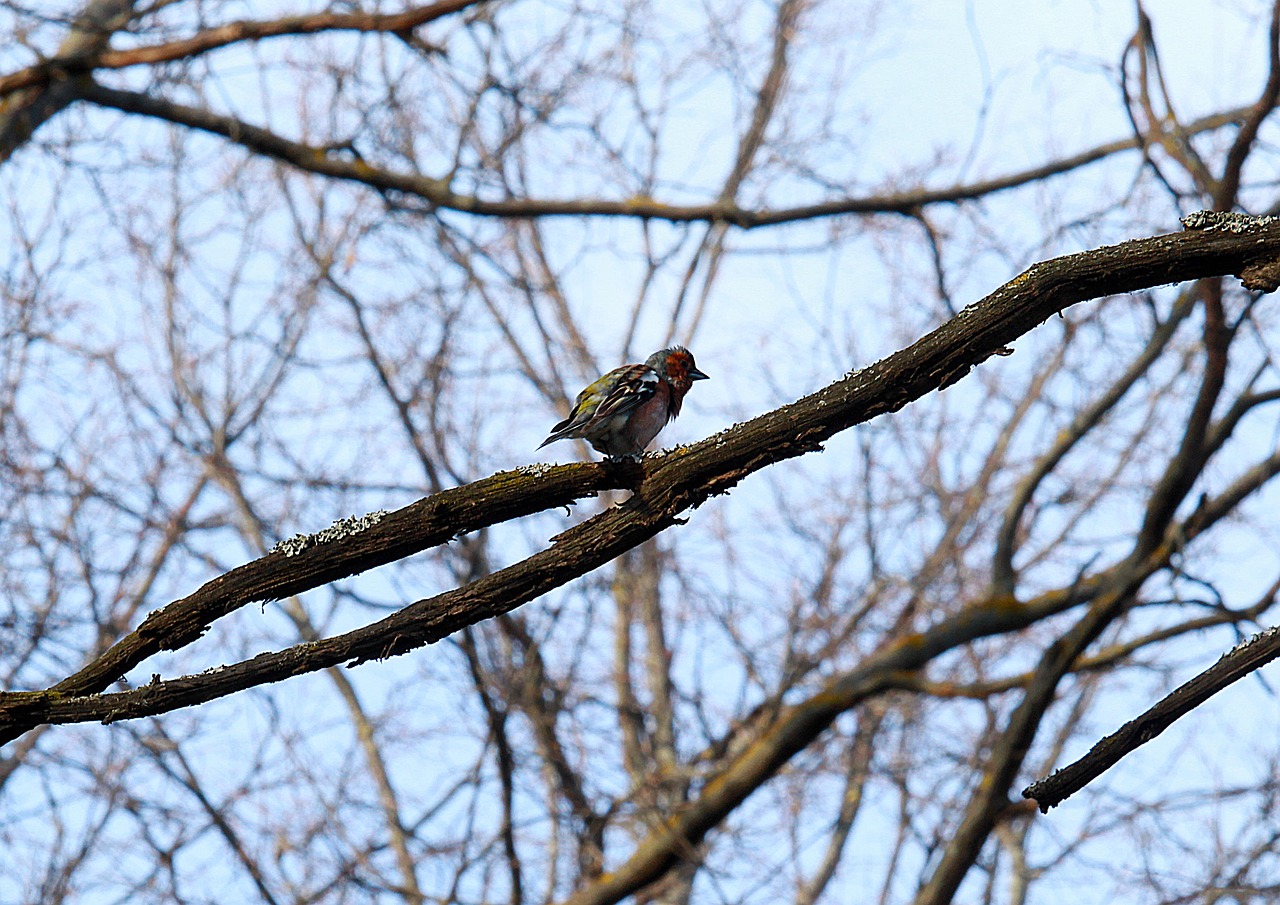 Ждать ли дождей? О погоде на Гродненщине 28-30 марта 