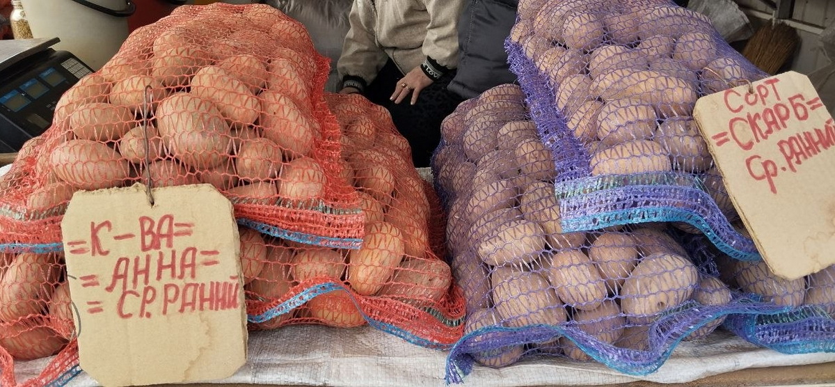 Пятничный обзор цен на центральном рынке в Слониме