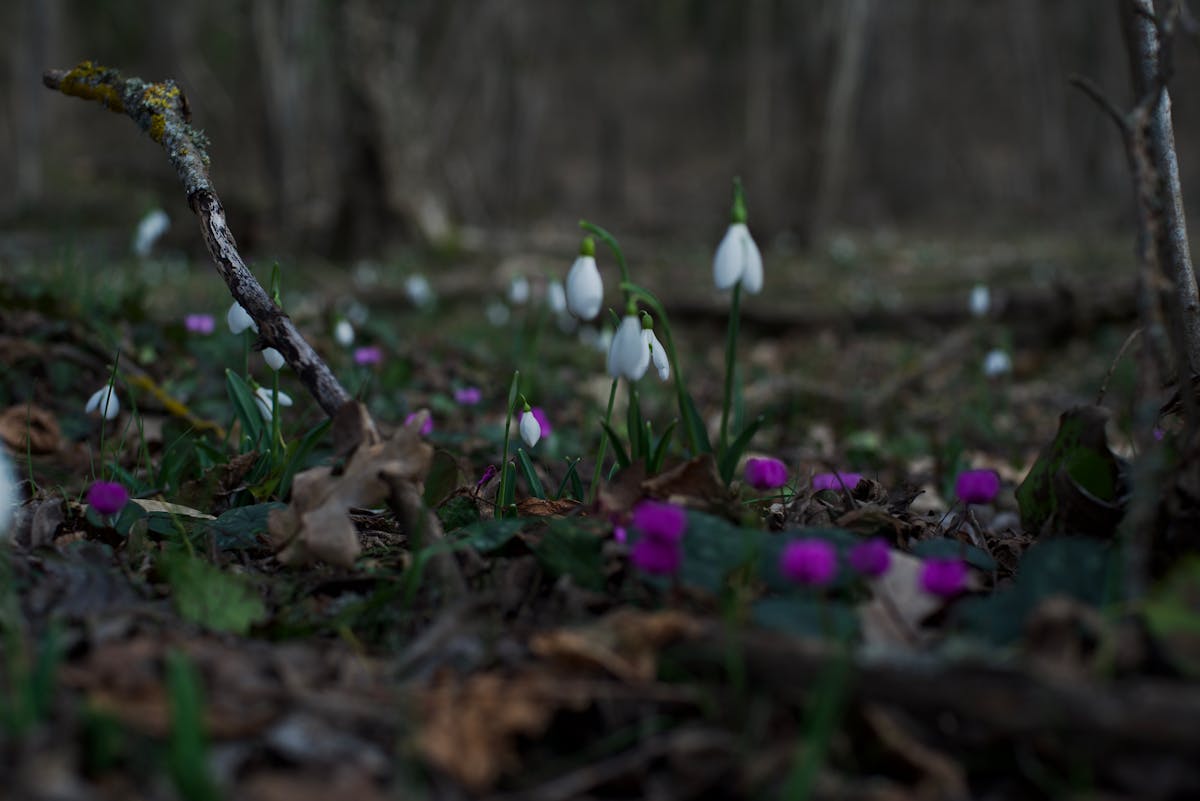 Погода в Гродненской области: потеплеет до +18°C, а затем придут дожди 