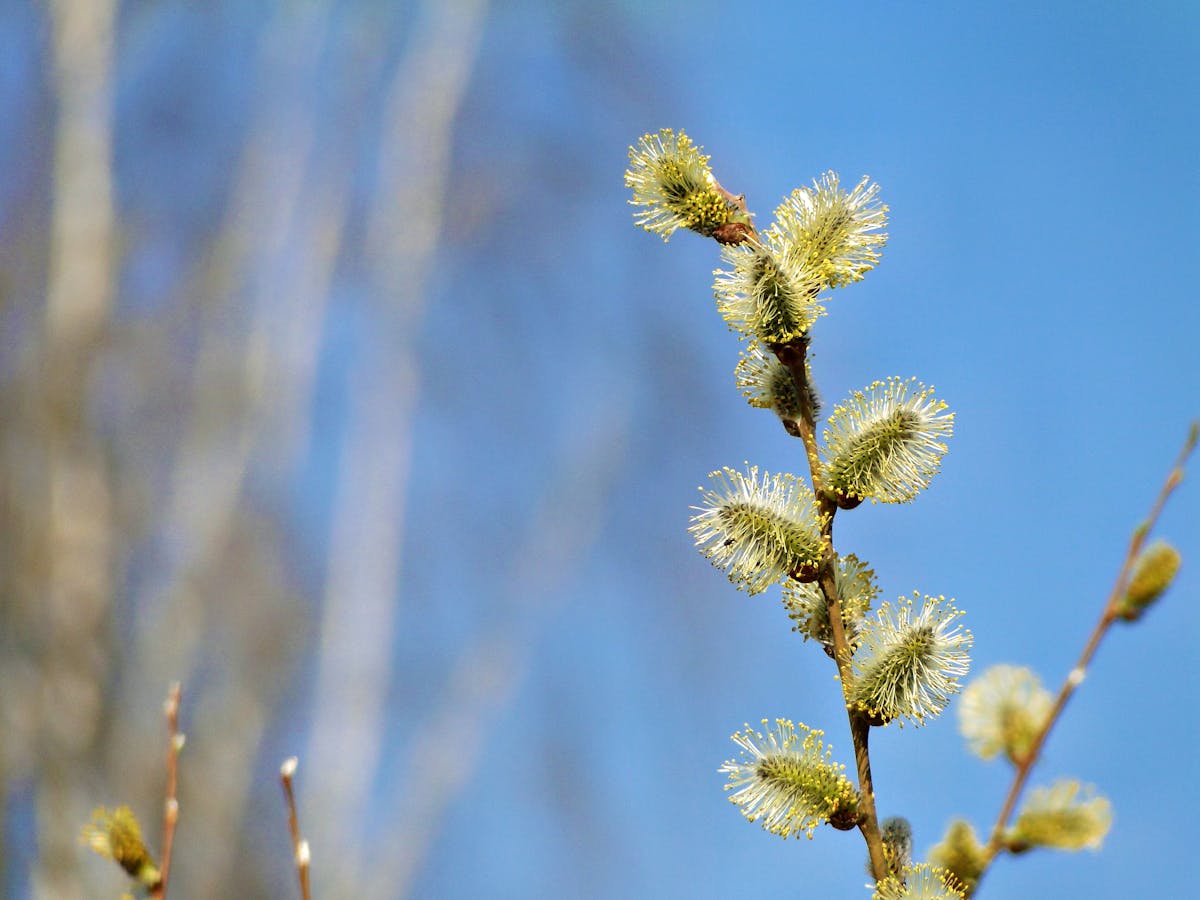 В Гродненской области ожидается дождливая погода с порывистым ветром