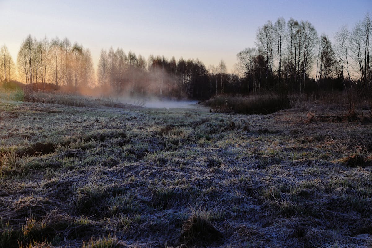 Заморозки усилятся: о погоде на Гродненщине 2-4 апреля 