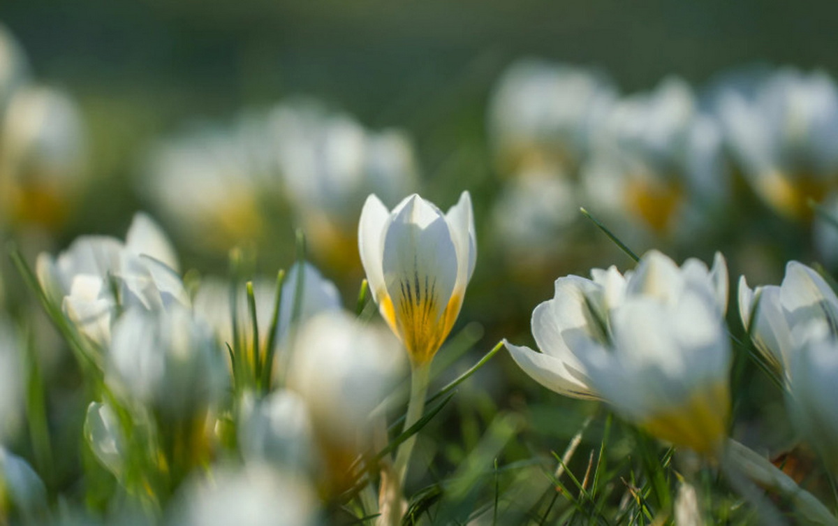 Погода в Гродно и области на 5–6 апреля: потеплеет, но ненадолго