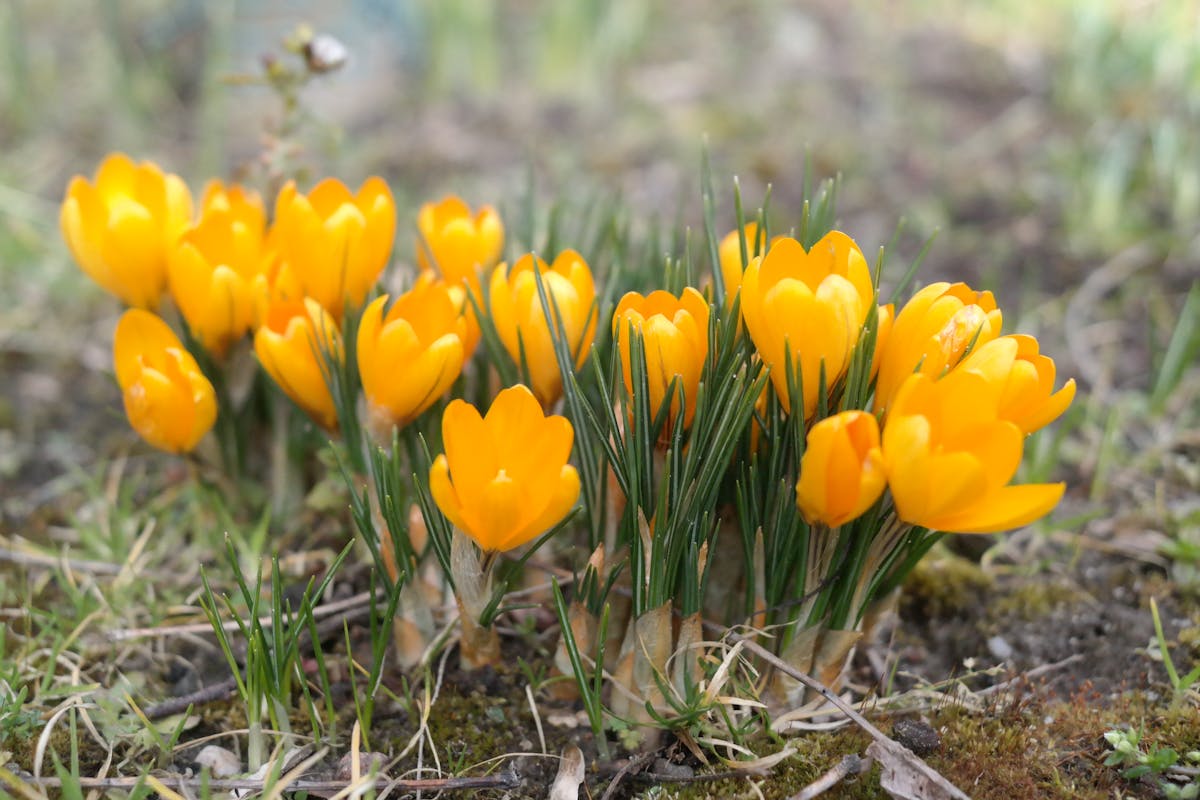 О погоде на Гродненщине 7-9 апреля