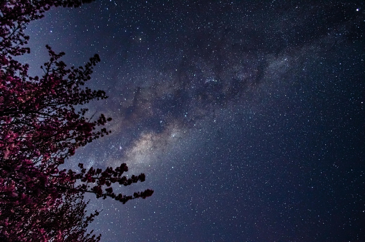 Гороскоп на субботу, 11 апреля 2026 года