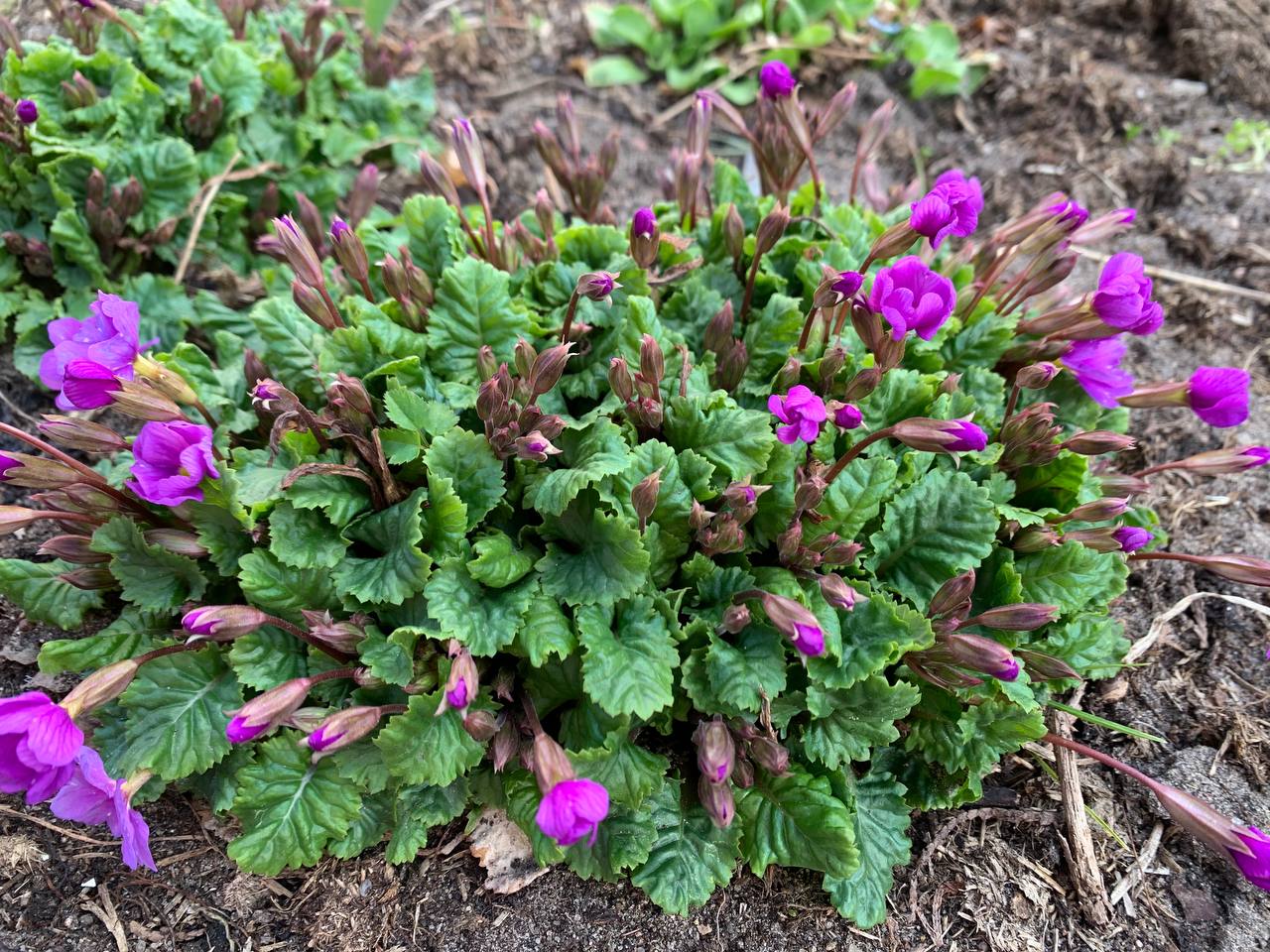 Прогноз погоды в Гродненской области на 13-15 апреля 2026 года