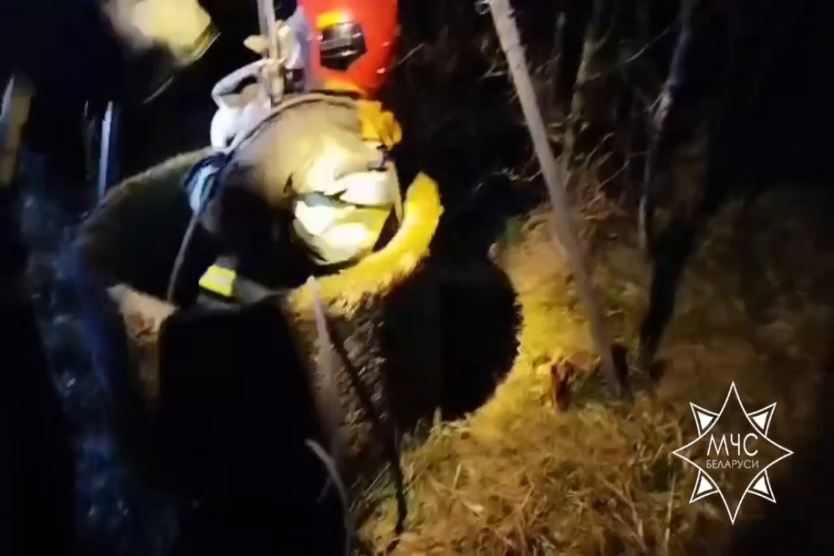 Спасатели вытащили ягненка из семиметровой ямы в Слонимском районе