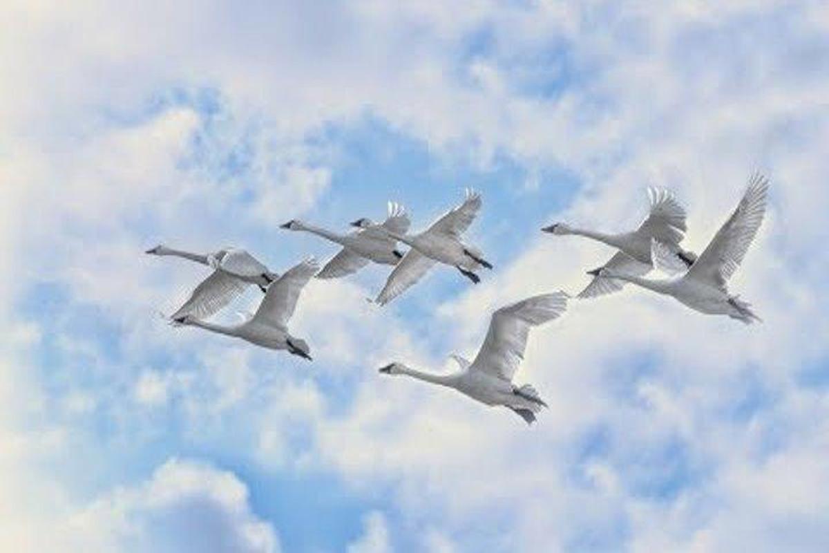 Огнище 13 апреля: что можно и нельзя делать в день Ипатия Чудотворца