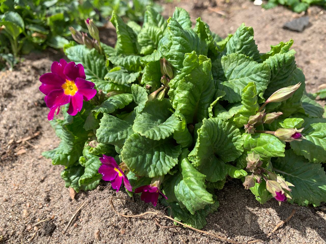 Прогноз погоды в Гродненской области на 14–16 апреля 2026 года