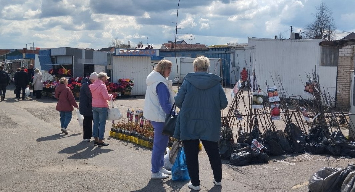 цены на рынке в Слониме