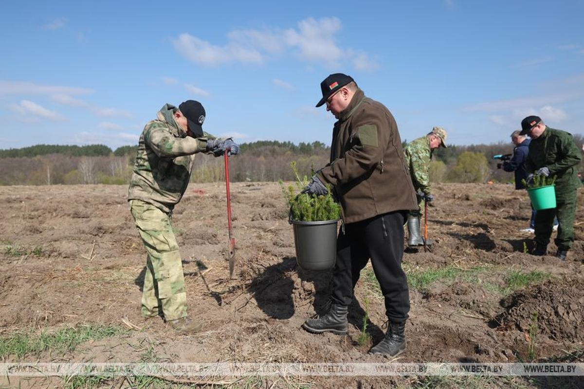 Субботник в агрогородке Жировичи