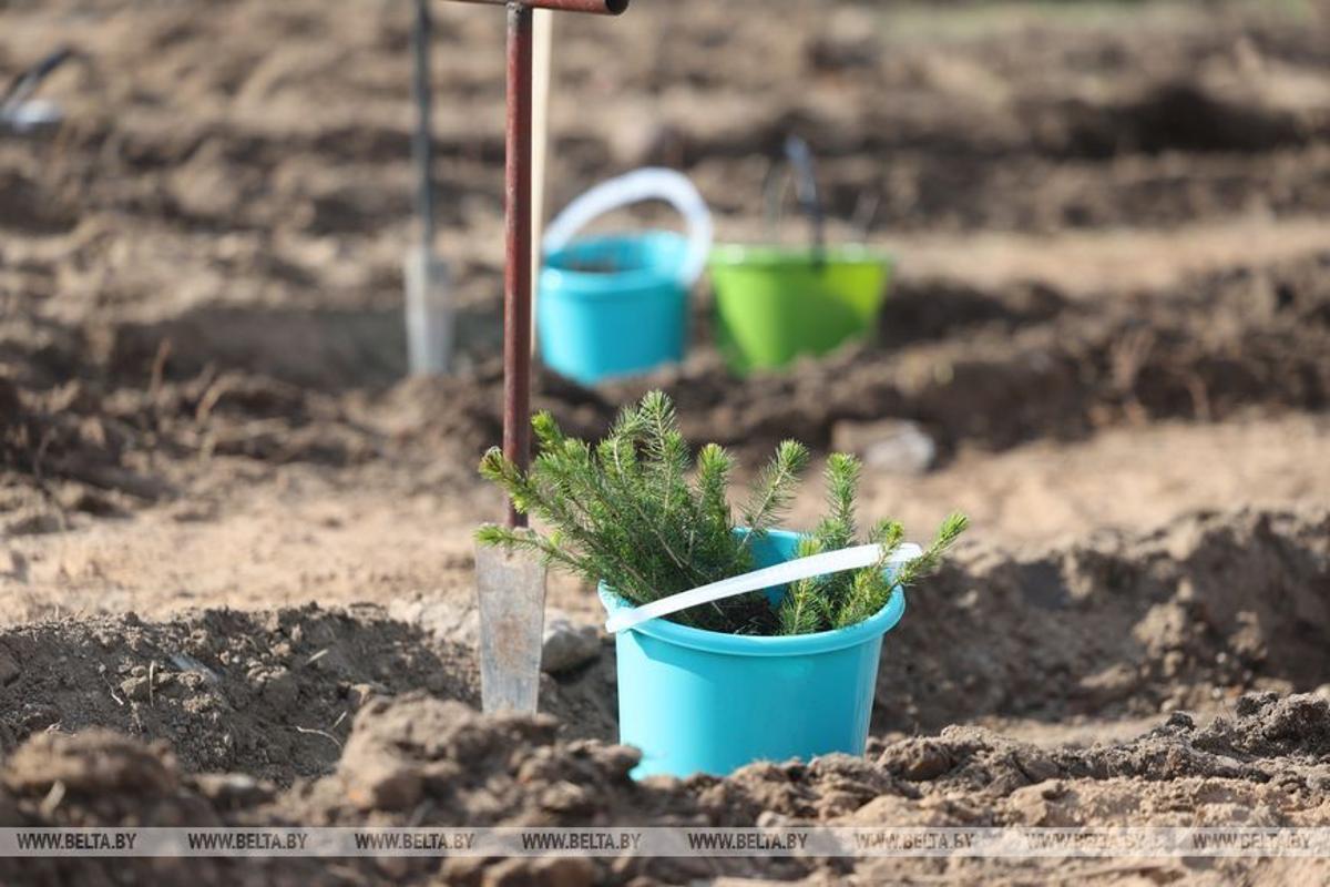 Субботник в агрогородке Жировичи