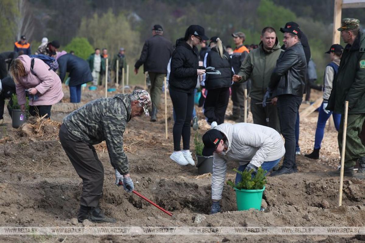 Субботник в агрогородке Жировичи