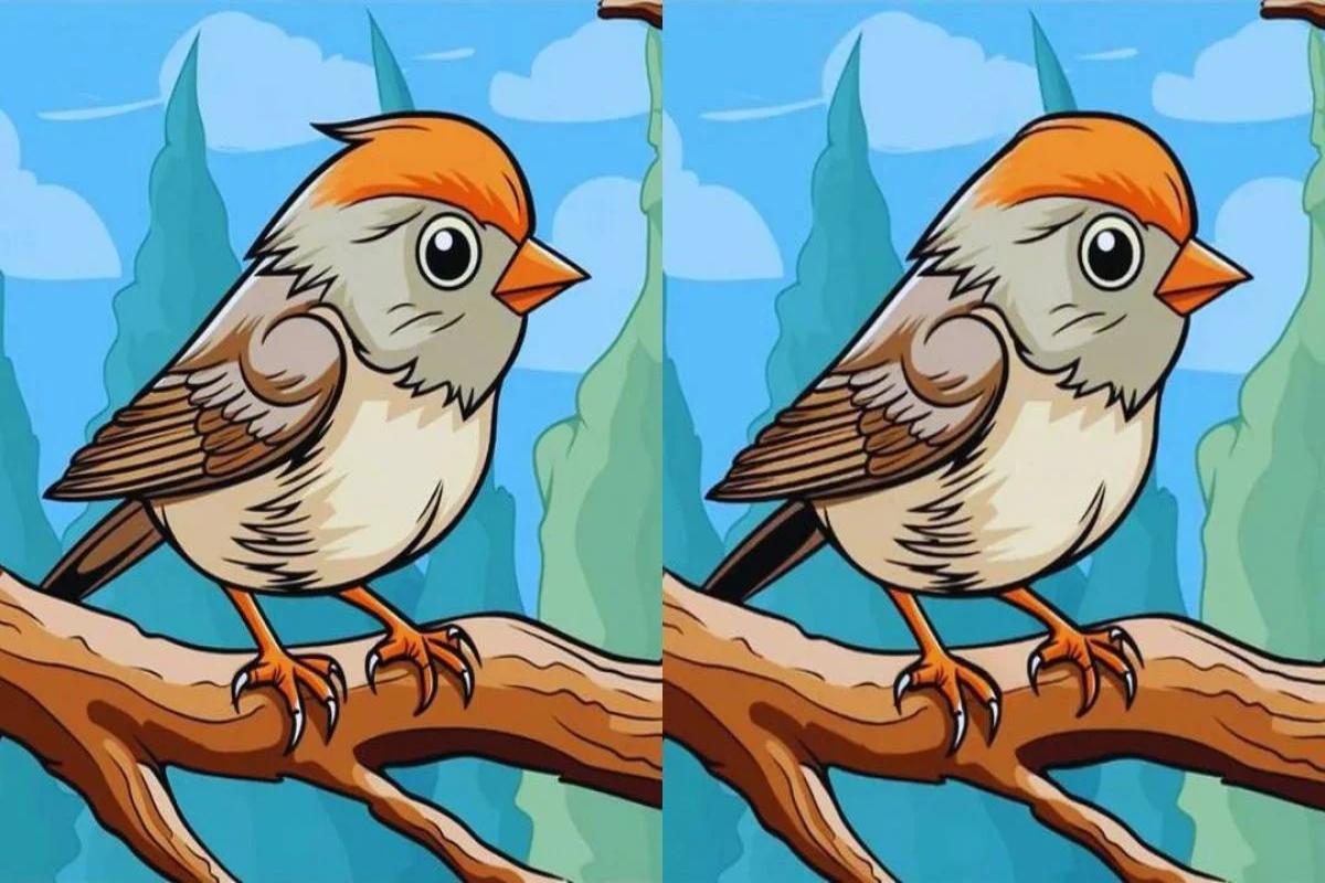 Отличия на картинке