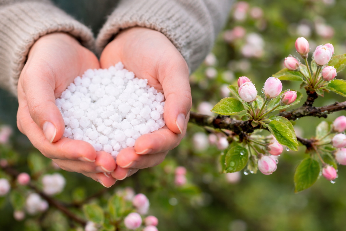 погода в Беларуси