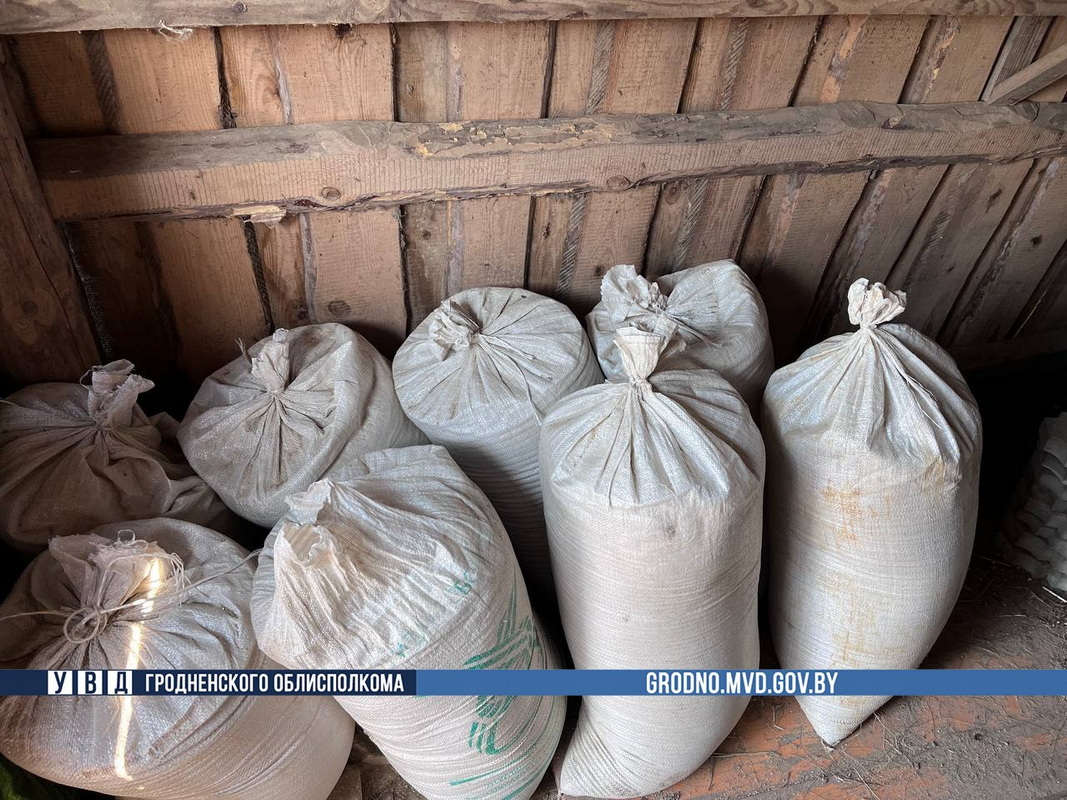 Животновод попался на краже