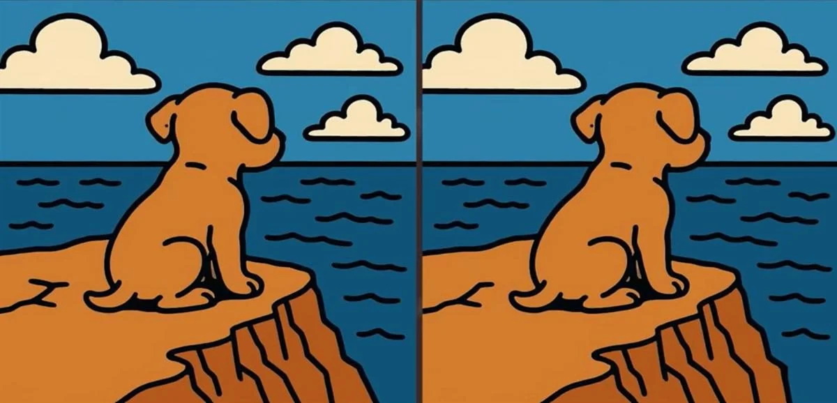 Найдите отличия на картинке