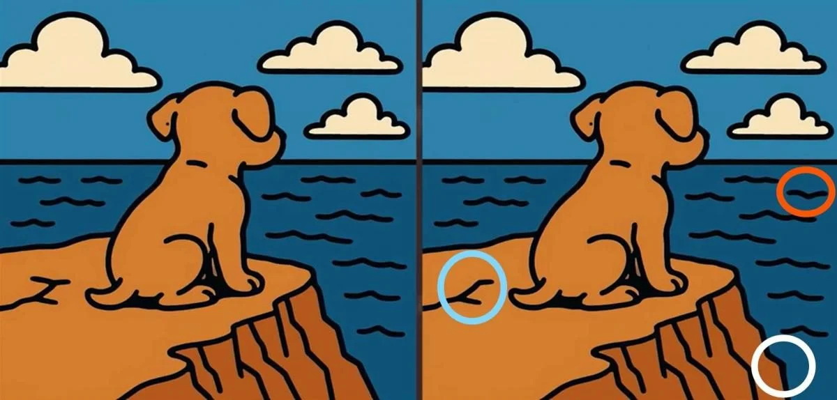 Найдите отличия на картинке