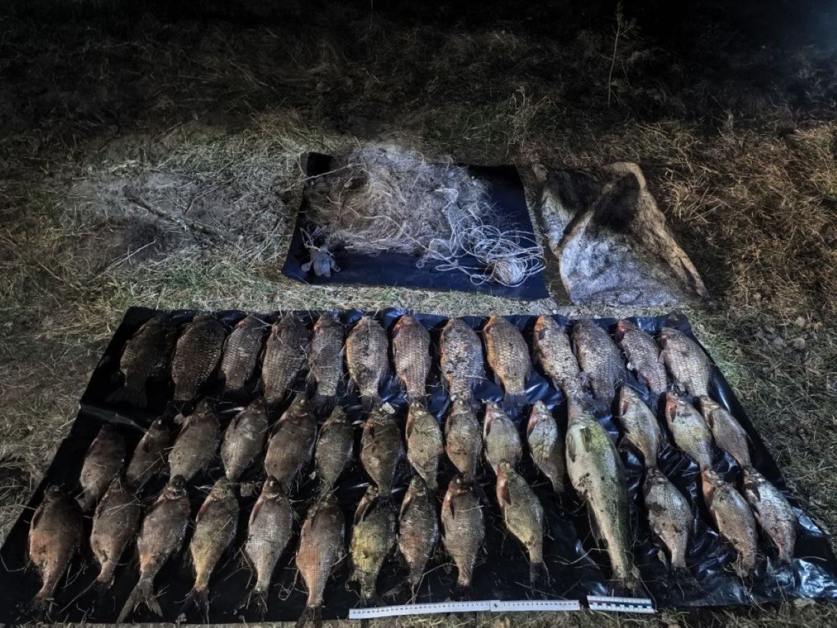 В Слонимском районе пресечена незаконная добыча рыбы в период нереста