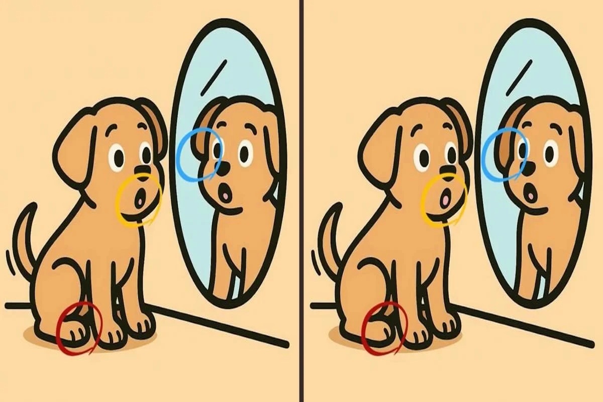 Головоломка на внимательность