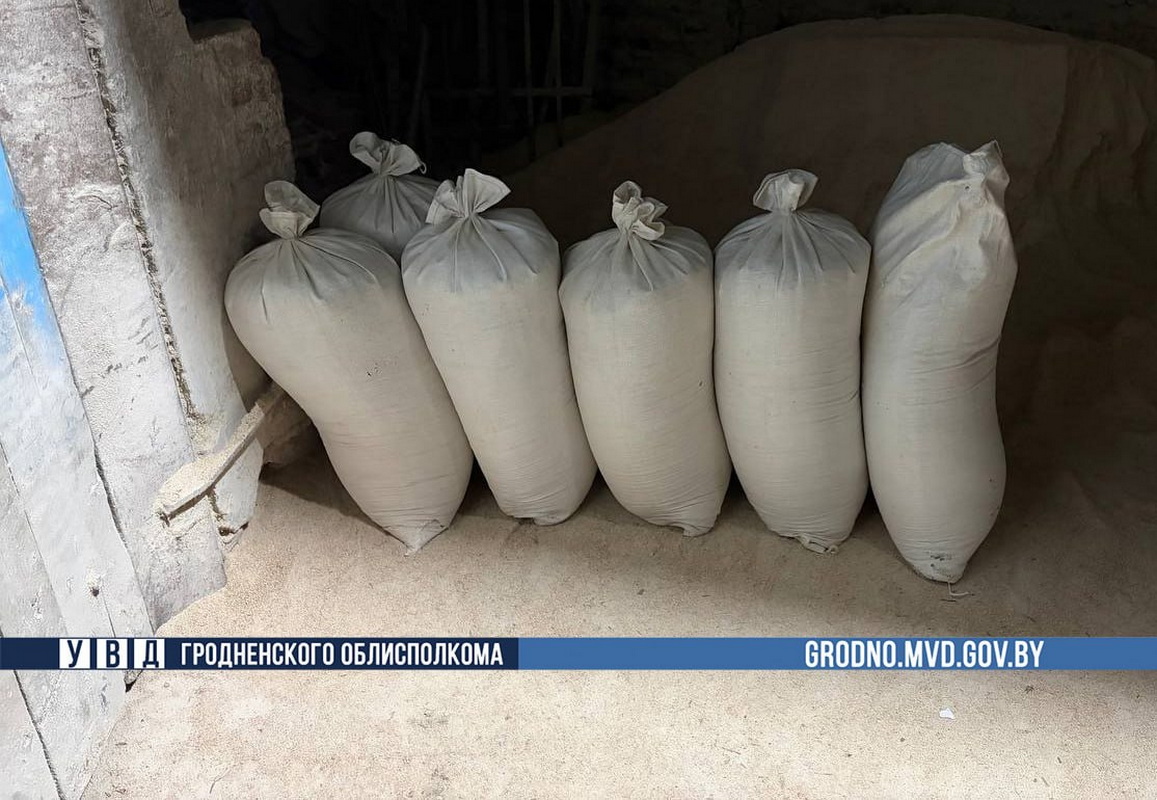 photo_2026-04-27_11-48-56_2