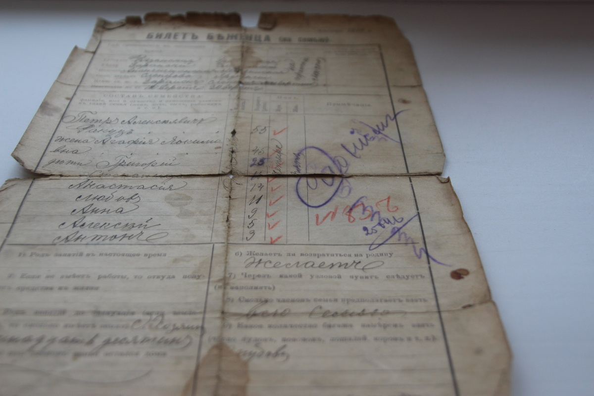 билет беженца