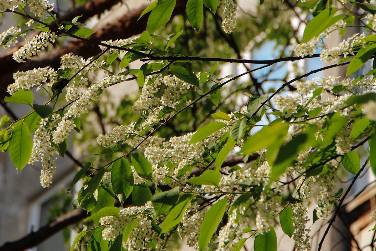 прогноз погоды на майские праздники