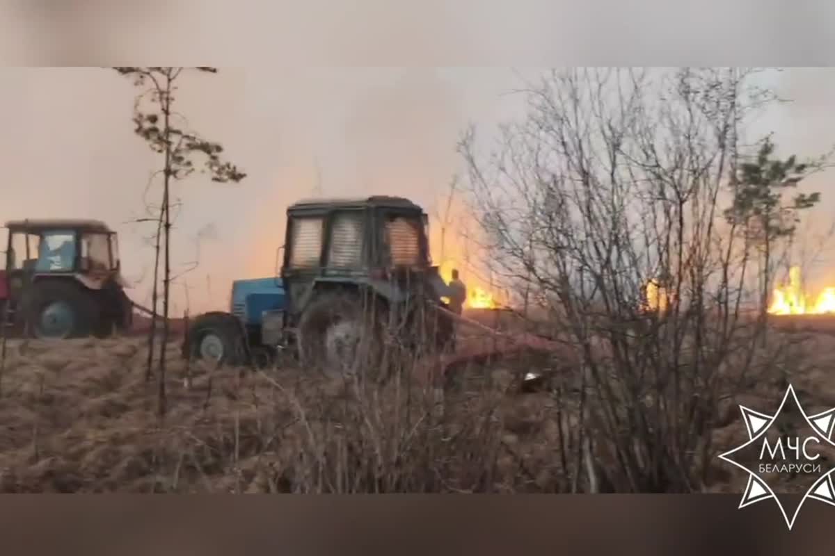 Лесной пожар