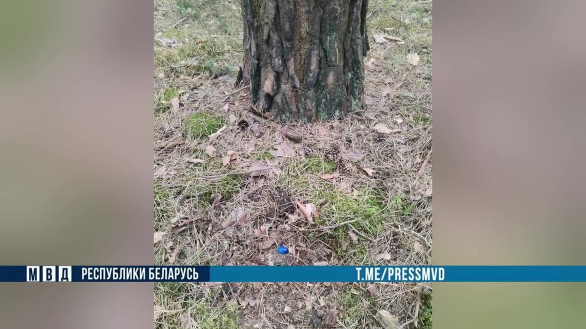 наркотики