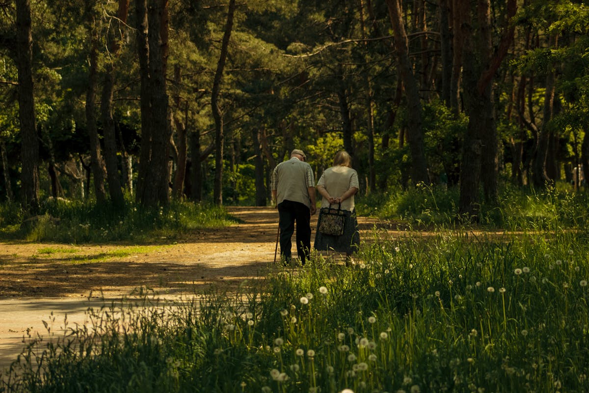 прогулка