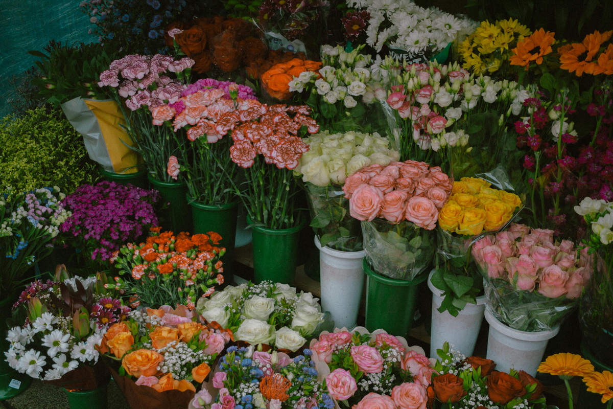 цветы
