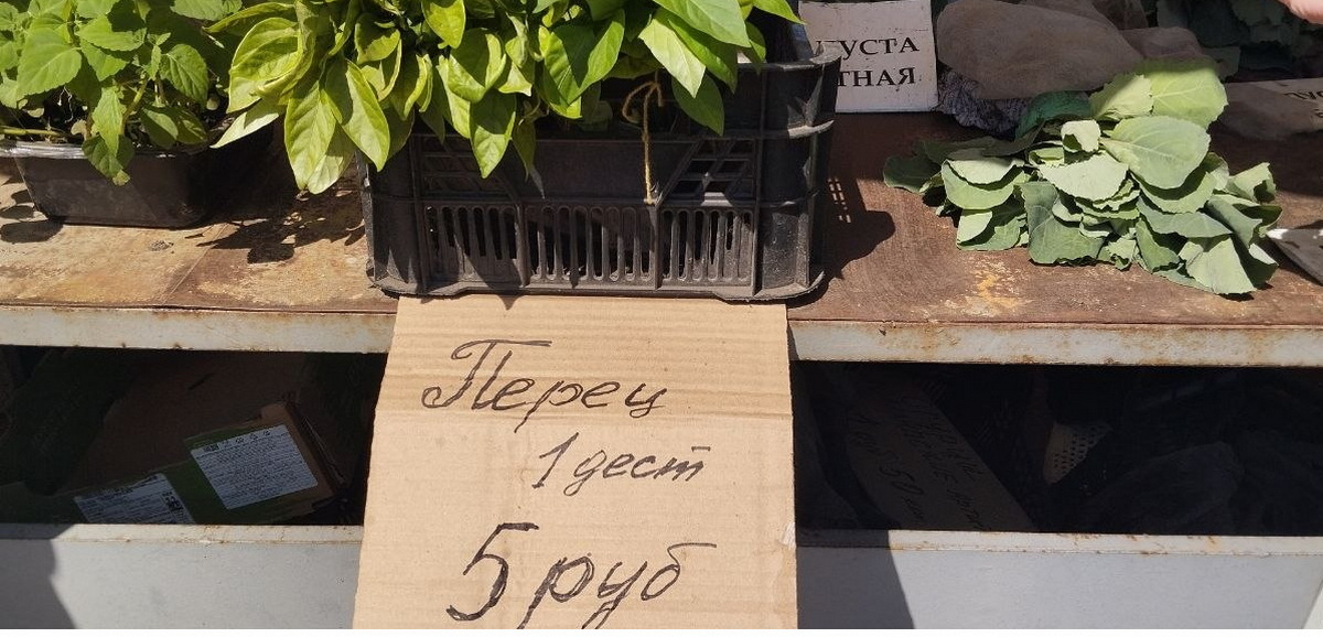 перец