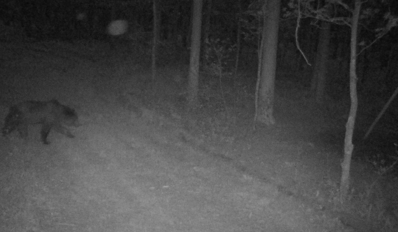 photo 2026 05 26 22 10 33
