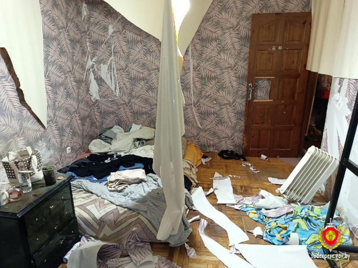 разгромила внучка квартиру бабушки